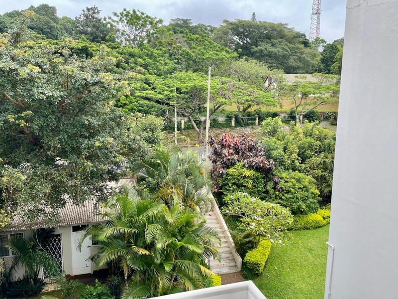 2 Bedroom Property for Sale in Musgrave KwaZulu-Natal