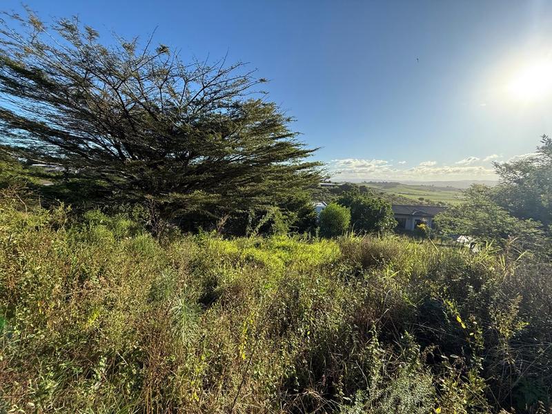 0 Bedroom Property for Sale in Zini River Estate KwaZulu-Natal