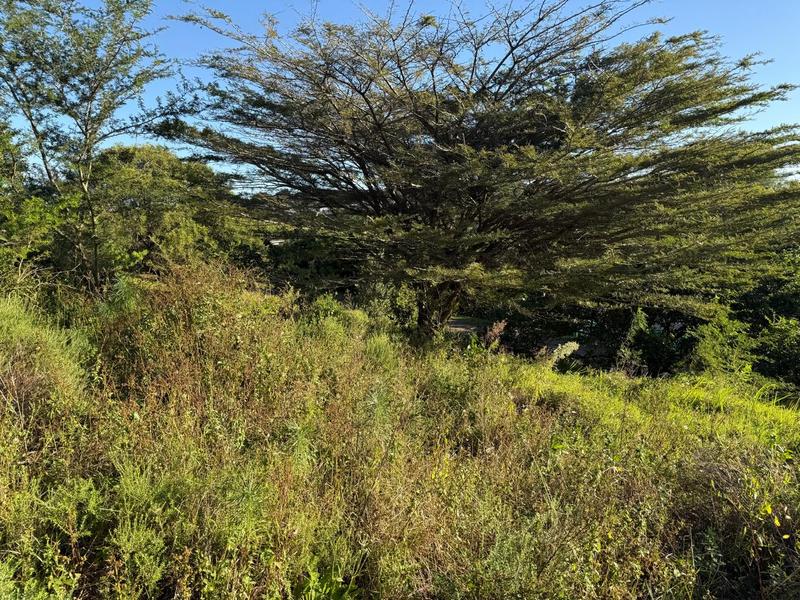 0 Bedroom Property for Sale in Zini River Estate KwaZulu-Natal