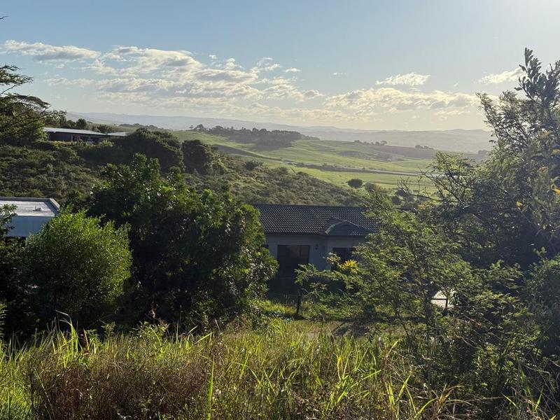 0 Bedroom Property for Sale in Zini River Estate KwaZulu-Natal