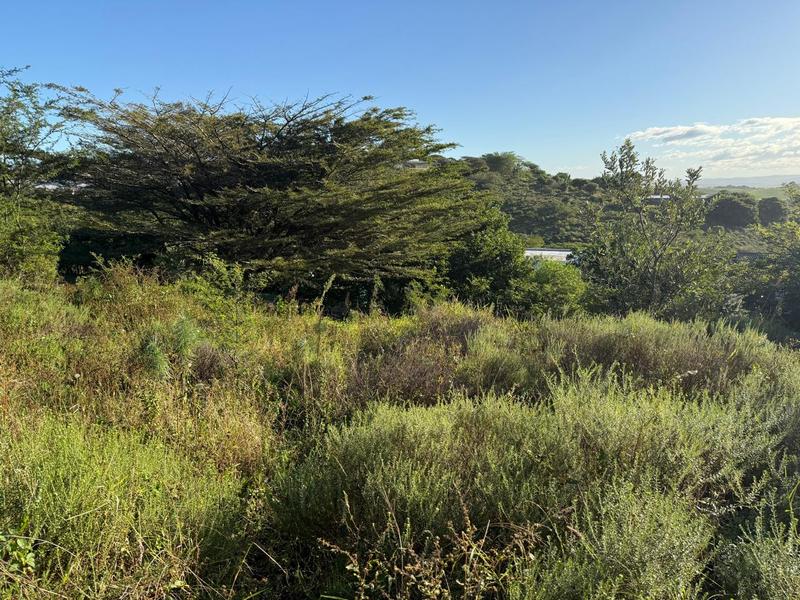 0 Bedroom Property for Sale in Zini River Estate KwaZulu-Natal