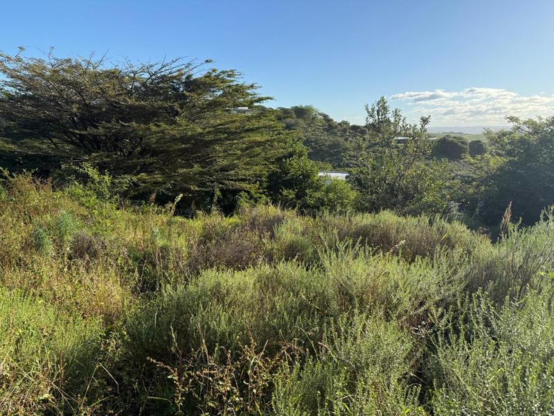 0 Bedroom Property for Sale in Zini River Estate KwaZulu-Natal