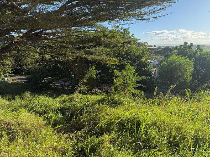 0 Bedroom Property for Sale in Zini River Estate KwaZulu-Natal