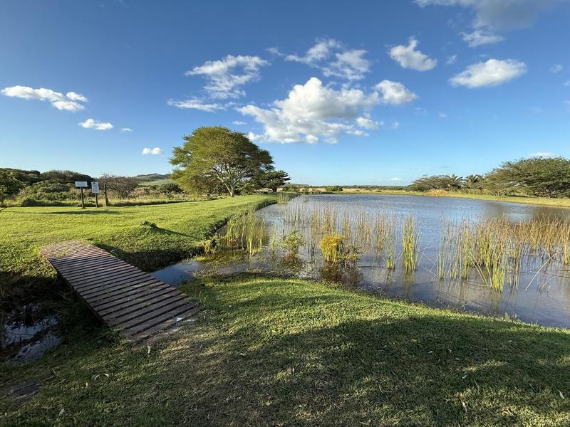 0 Bedroom Property for Sale in Zini River Estate KwaZulu-Natal