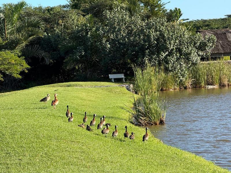 0 Bedroom Property for Sale in Zini River Estate KwaZulu-Natal
