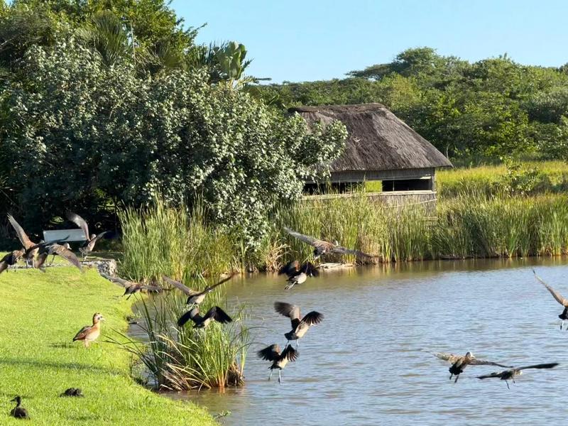 0 Bedroom Property for Sale in Zini River Estate KwaZulu-Natal