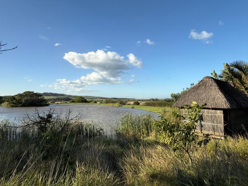 0 Bedroom Property for Sale in Zini River Estate KwaZulu-Natal