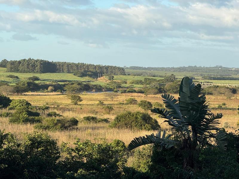 0 Bedroom Property for Sale in Zini River Estate KwaZulu-Natal