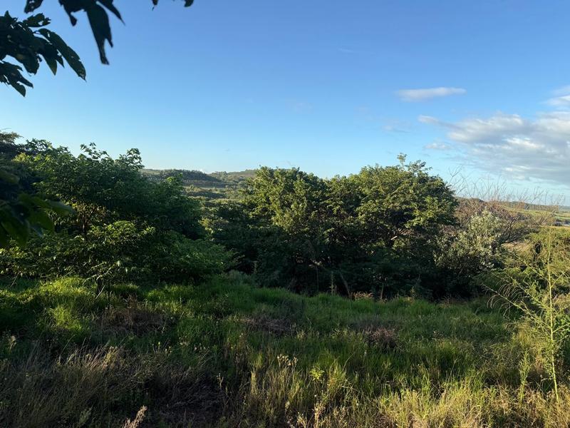 0 Bedroom Property for Sale in Zini River Estate KwaZulu-Natal
