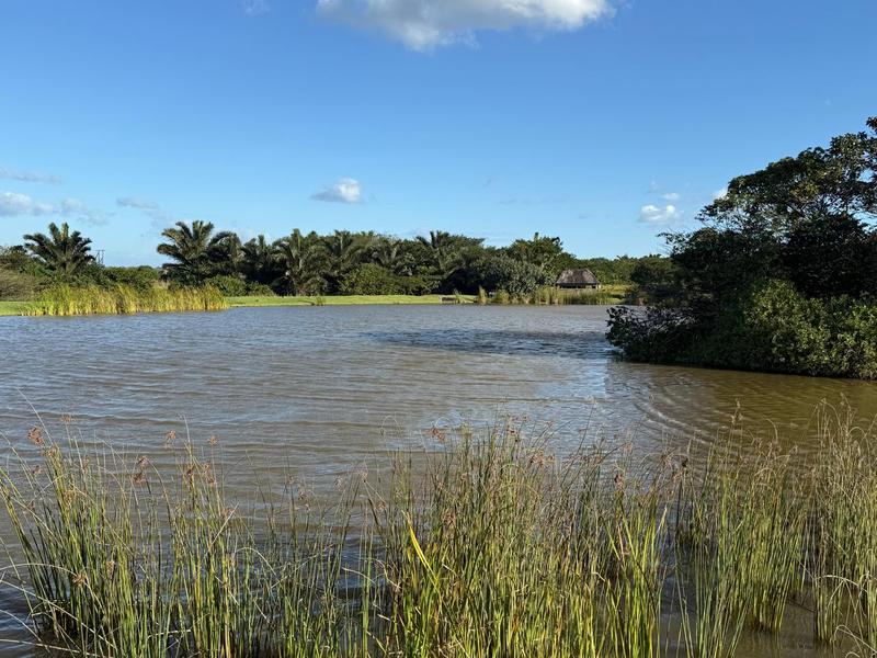 0 Bedroom Property for Sale in Zini River Estate KwaZulu-Natal