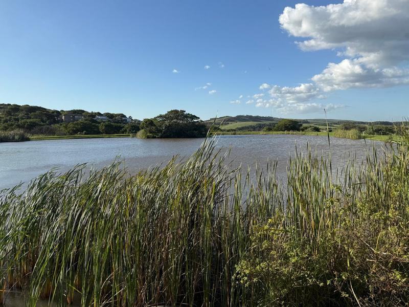 0 Bedroom Property for Sale in Zini River Estate KwaZulu-Natal