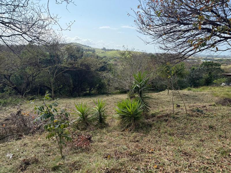 0 Bedroom Property for Sale in Zini River Estate KwaZulu-Natal
