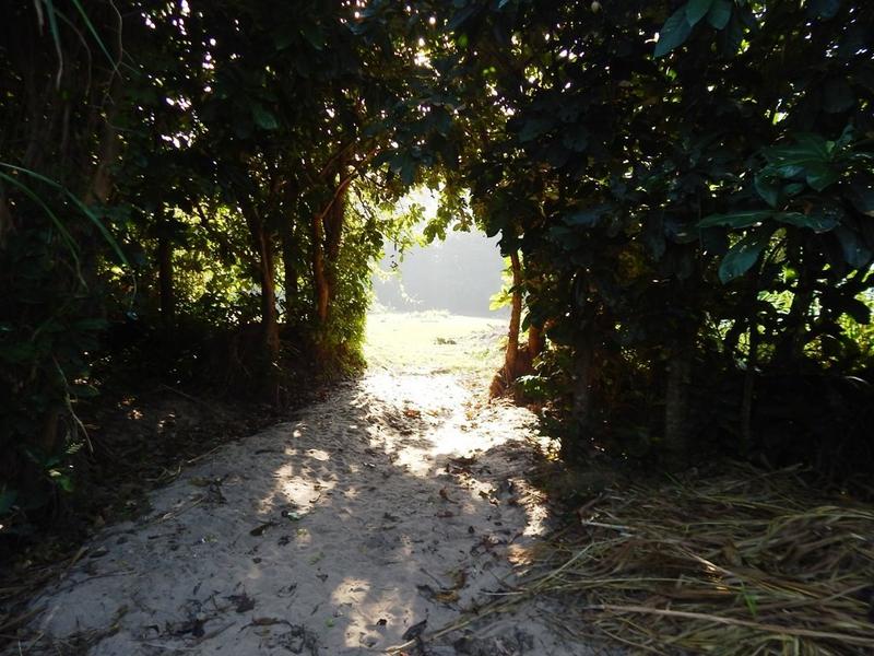 3 Bedroom Property for Sale in Hibberdene KwaZulu-Natal