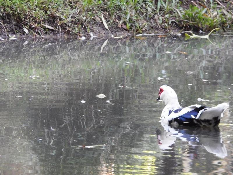 3 Bedroom Property for Sale in Hibberdene KwaZulu-Natal