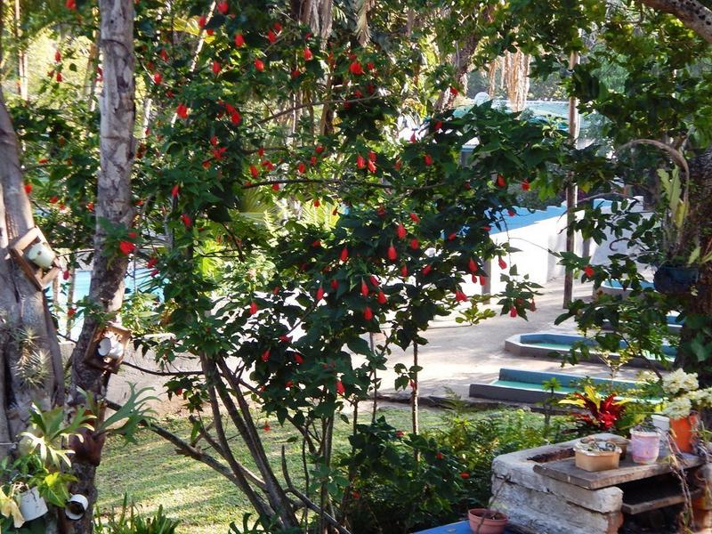 3 Bedroom Property for Sale in Hibberdene KwaZulu-Natal