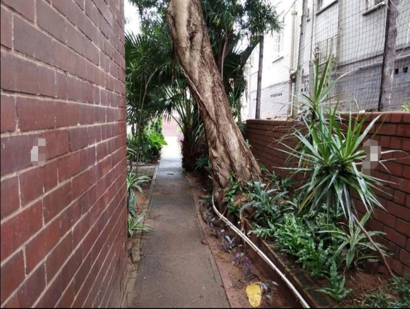 To Let 2 Bedroom Property for Rent in Berea KwaZulu-Natal