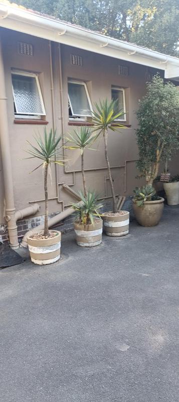 3 Bedroom Property for Sale in Ashley KwaZulu-Natal