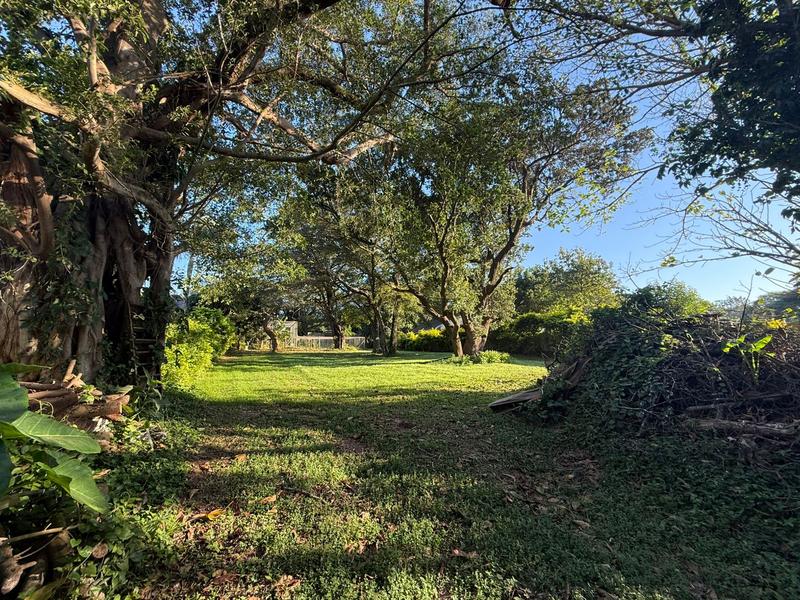 0 Bedroom Property for Sale in Mtunzini KwaZulu-Natal