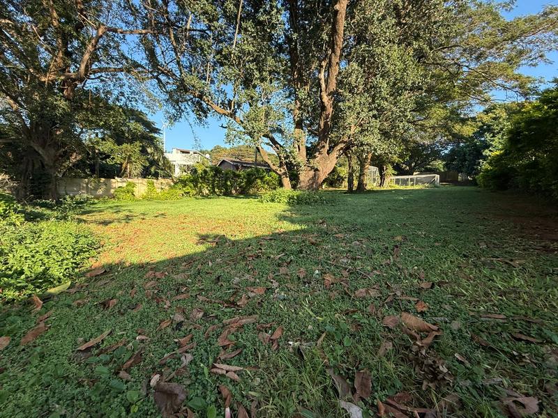0 Bedroom Property for Sale in Mtunzini KwaZulu-Natal