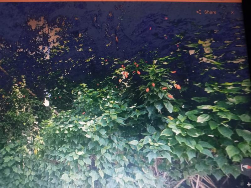 0 Bedroom Property for Sale in Pennington KwaZulu-Natal
