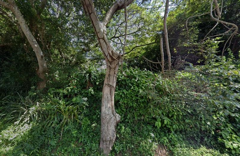 0 Bedroom Property for Sale in Pennington KwaZulu-Natal