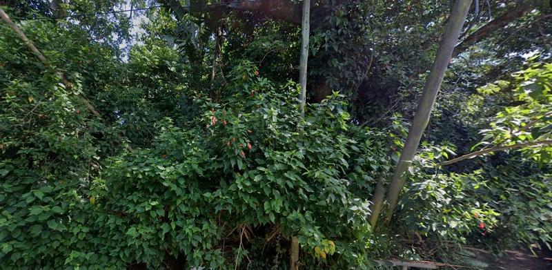 0 Bedroom Property for Sale in Pennington KwaZulu-Natal