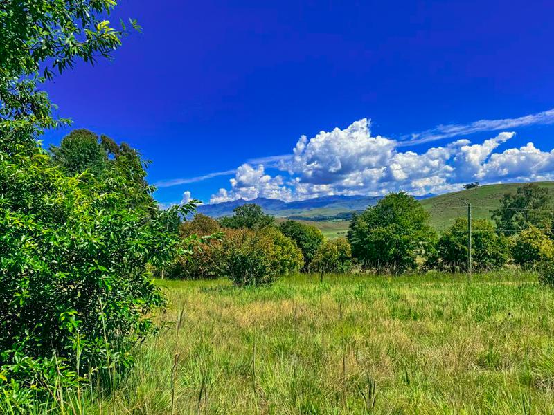 0 Bedroom Property for Sale in Underberg KwaZulu-Natal