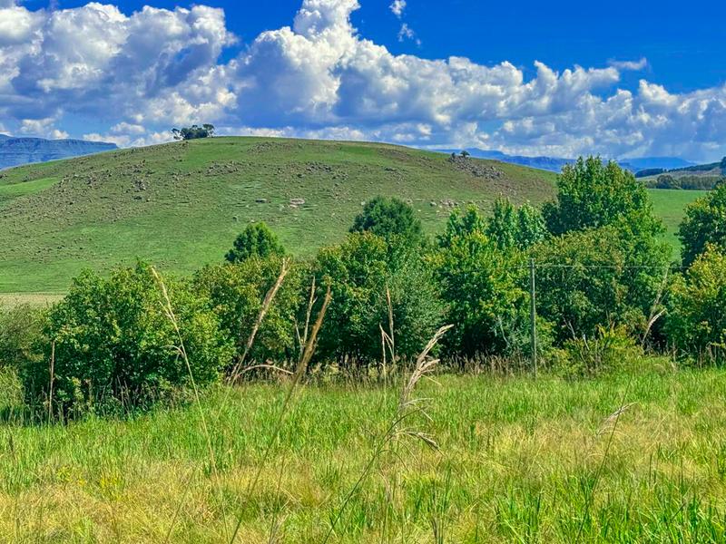 0 Bedroom Property for Sale in Underberg KwaZulu-Natal