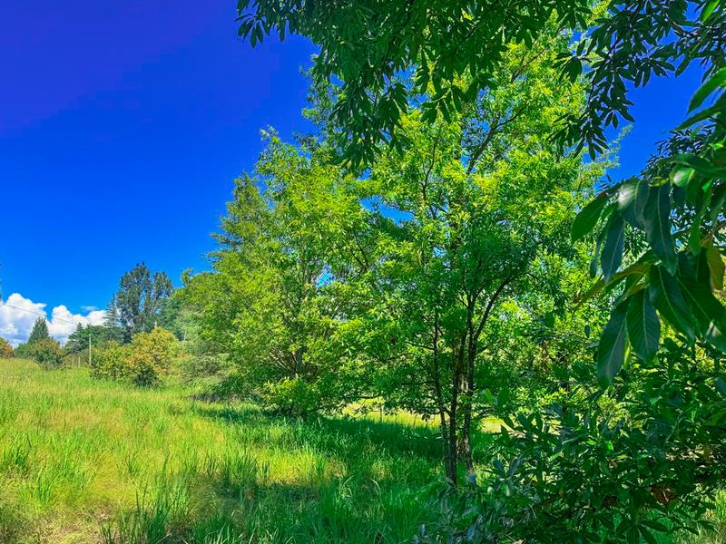 0 Bedroom Property for Sale in Underberg KwaZulu-Natal