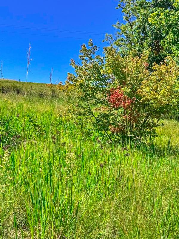 0 Bedroom Property for Sale in Underberg KwaZulu-Natal