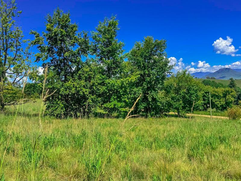 0 Bedroom Property for Sale in Underberg KwaZulu-Natal