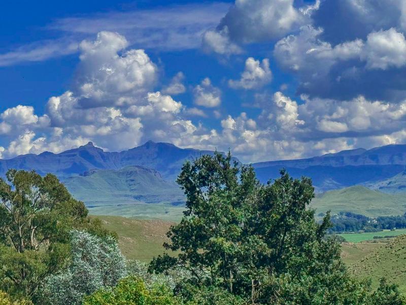 0 Bedroom Property for Sale in Underberg KwaZulu-Natal