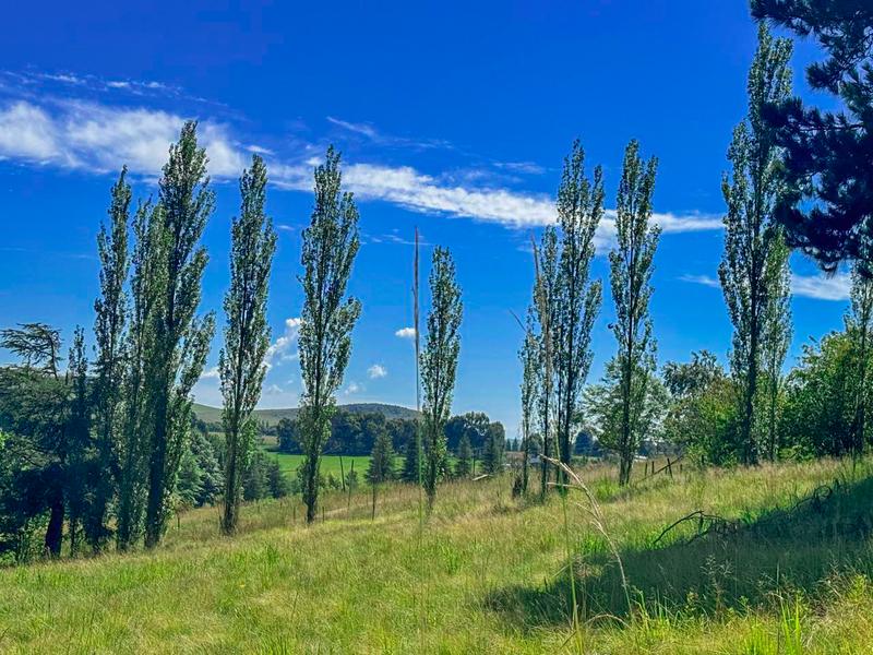0 Bedroom Property for Sale in Underberg KwaZulu-Natal