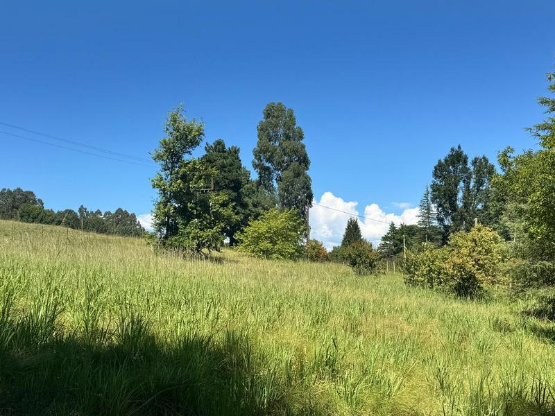 0 Bedroom Property for Sale in Underberg KwaZulu-Natal