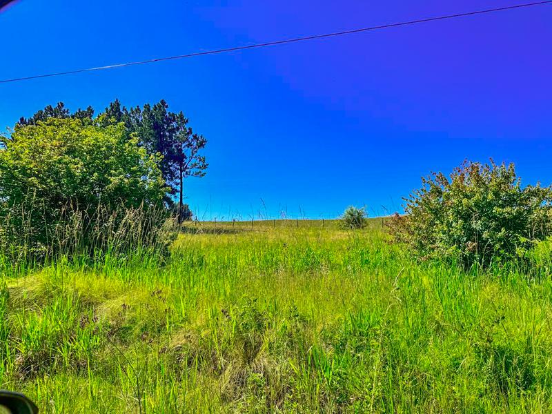 0 Bedroom Property for Sale in Underberg KwaZulu-Natal