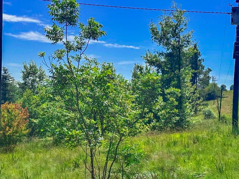 0 Bedroom Property for Sale in Underberg KwaZulu-Natal