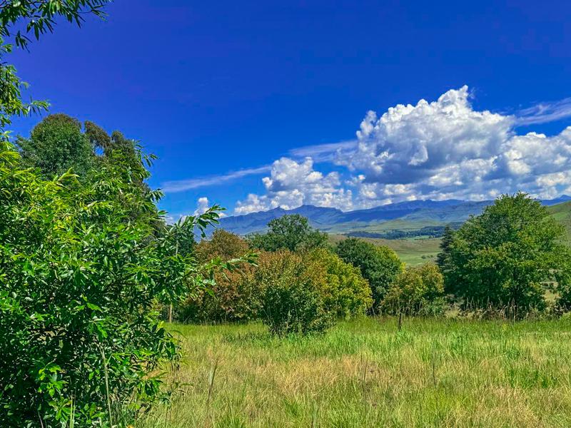 0 Bedroom Property for Sale in Underberg KwaZulu-Natal