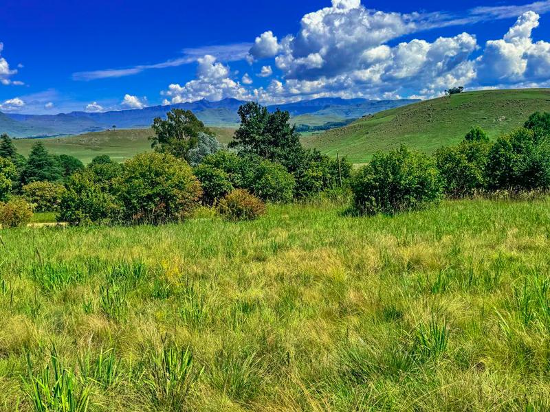 0 Bedroom Property for Sale in Underberg KwaZulu-Natal