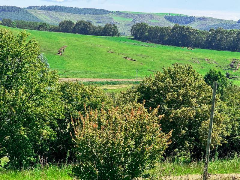 0 Bedroom Property for Sale in Underberg KwaZulu-Natal