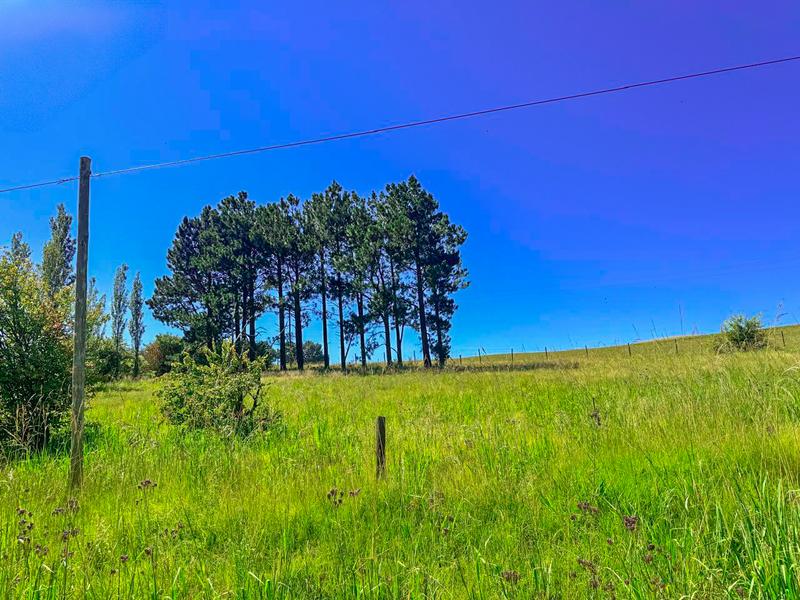 0 Bedroom Property for Sale in Underberg KwaZulu-Natal