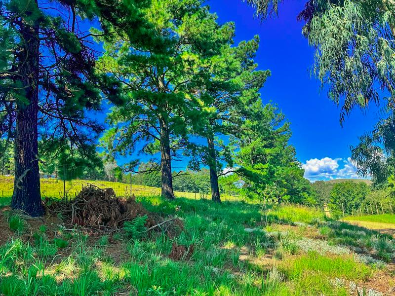 0 Bedroom Property for Sale in Underberg KwaZulu-Natal