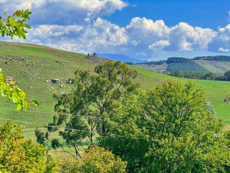 0 Bedroom Property for Sale in Underberg KwaZulu-Natal