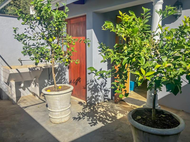 4 Bedroom Property for Sale in Underberg KwaZulu-Natal