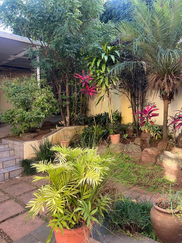 6 Bedroom Property for Sale in Musgrave KwaZulu-Natal