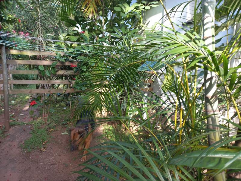 To Let 1 Bedroom Property for Rent in Musgrave KwaZulu-Natal