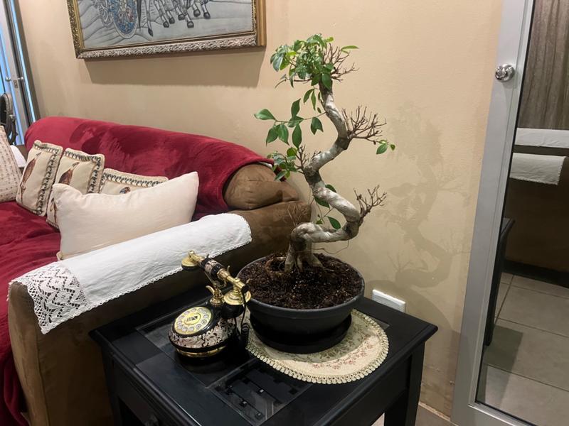 3 Bedroom Property for Sale in Reservoir Hills KwaZulu-Natal