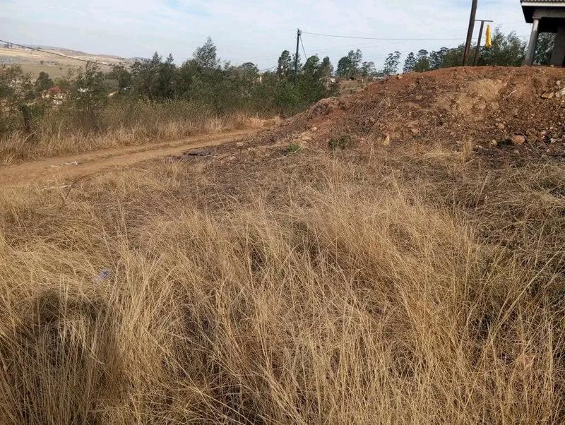 0 Bedroom Property for Sale in Thornville KwaZulu-Natal