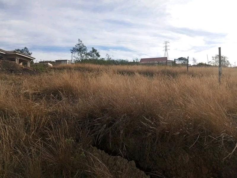 0 Bedroom Property for Sale in Thornville KwaZulu-Natal