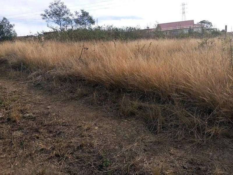 0 Bedroom Property for Sale in Thornville KwaZulu-Natal