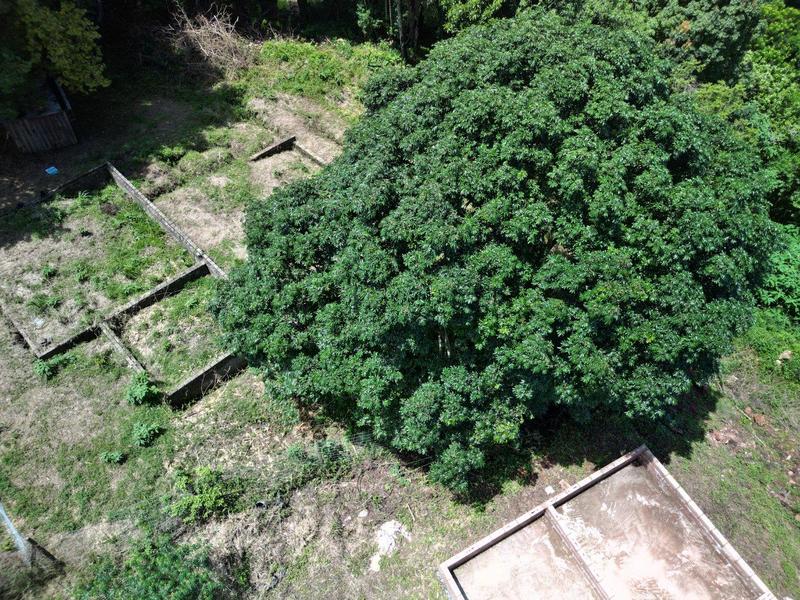 0 Bedroom Property for Sale in Hillcrest Park KwaZulu-Natal